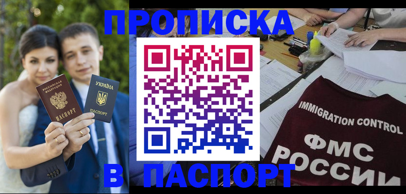 прописка иностранных граждан в Мончегорске